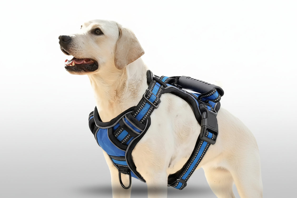 ProControl Tactical Service Dog Harness & Travel Kit