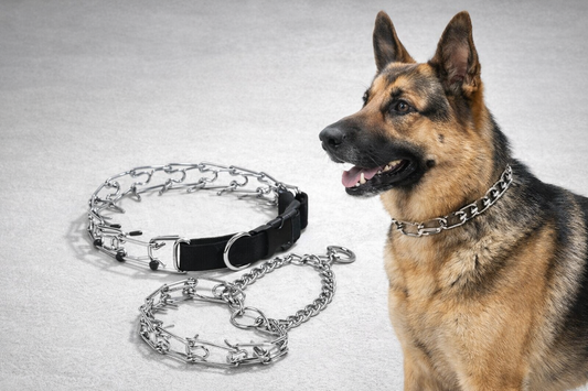 Adjustable Training Prong Collar – Standard or Protective Tip Options