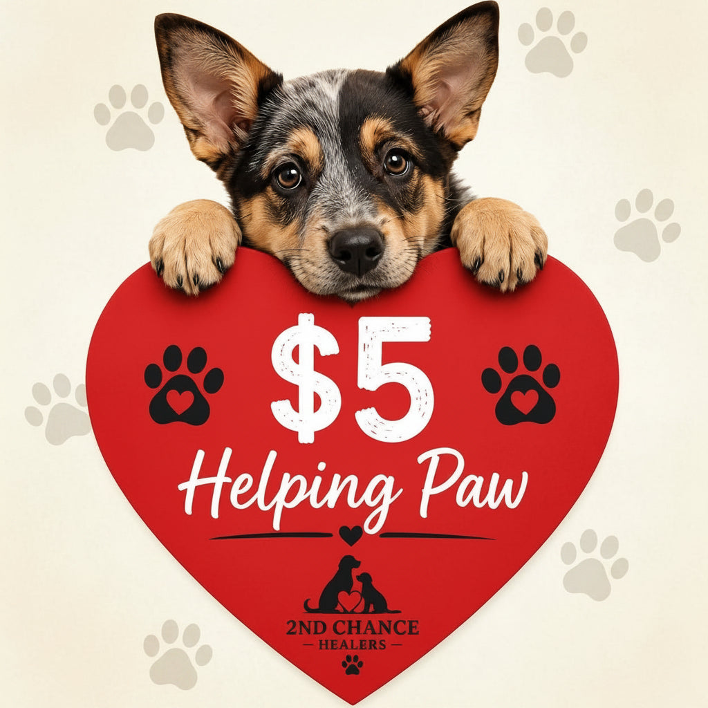 Rescue Hearts: Give Them a Second Chance ❤️🐾