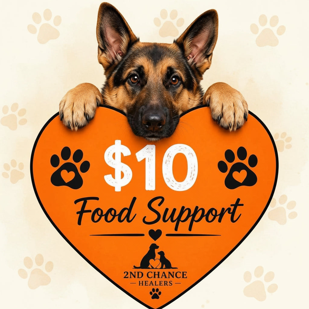 Rescue Hearts: Give Them a Second Chance ❤️🐾