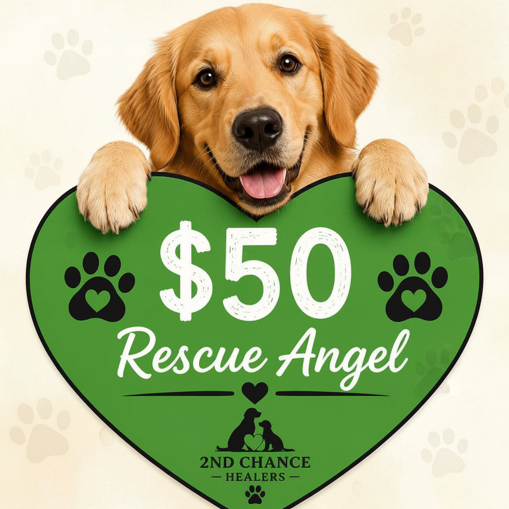Rescue Hearts: Give Them a Second Chance ❤️🐾