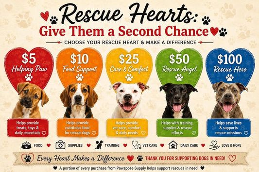 Rescue Hearts: Give Them a Second Chance ❤️🐾