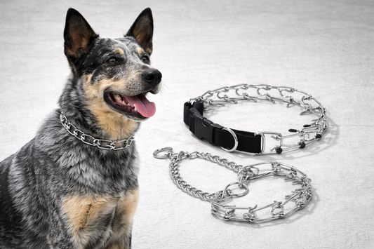 Adjustable Training Prong Collar – Standard or Protective Tip Options